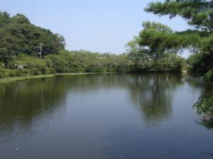 茂原公園の写真3