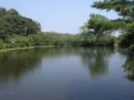 茂原公園の写真のサムネイル写真3