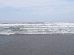 蓮沼海浜公園の写真のサムネイル写真55