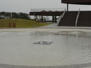 ふなばし三番瀬海浜公園の写真15