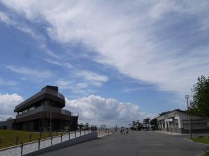 ふなばし三番瀬海浜公園の写真20