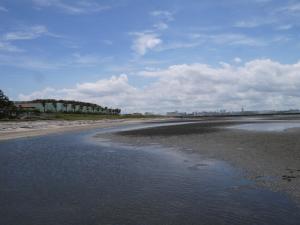 ふなばし三番瀬海浜公園の写真27