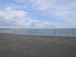 ふなばし三番瀬海浜公園の写真のサムネイル写真31