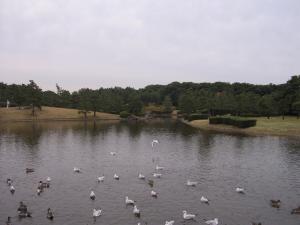 稲毛海浜公園の写真2