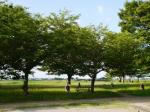 関宿にこにこ水辺公園の写真のサムネイル写真54