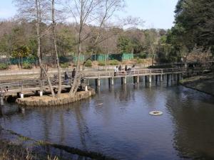 市川動植物園（観賞植物園、バラ園、自然観察園）の写真
