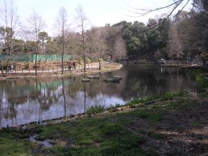 市川動植物園（観賞植物園、バラ園、自然観察園）の写真3
