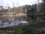 市川動植物園（観賞植物園、バラ園、自然観察園）の写真のサムネイル写真3