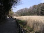 市川動植物園（観賞植物園、バラ園、自然観察園）の写真のサムネイル写真5