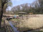 市川動植物園（観賞植物園、バラ園、自然観察園）の写真のサムネイル写真6