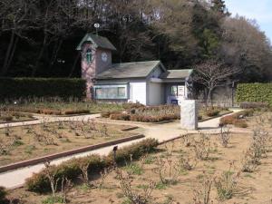 市川動植物園（観賞植物園、バラ園、自然観察園）の写真10