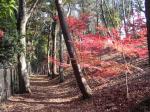 市川動植物園（動物園）の写真のサムネイル写真1