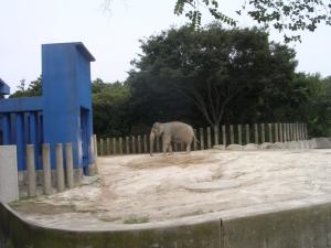 千葉市動物園の写真4