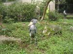 千葉市動物園の写真のサムネイル写真6