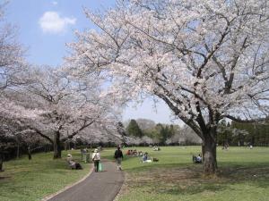 泉自然公園の写真4