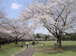 泉自然公園の写真のサムネイル写真4