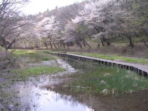 泉自然公園の写真6