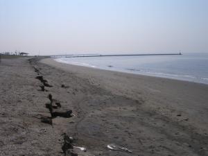 幕張海浜公園、幕張の浜の写真4