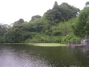 雄蛇ヶ池の写真2