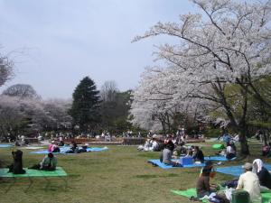 里見公園の写真2