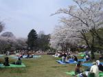 里見公園の写真のサムネイル写真2