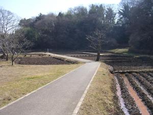 佐倉城址公園の写真17