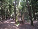 手賀の丘公園の写真のサムネイル写真2
