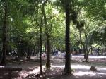 手賀の丘公園の写真のサムネイル写真3