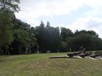 手賀の丘公園の写真のサムネイル写真5