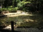 手賀の丘公園の写真のサムネイル写真7