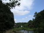 手賀の丘公園の写真のサムネイル写真10