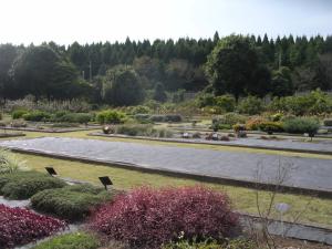 千葉県花植木センターの写真