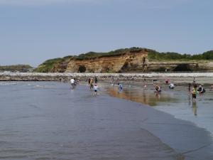 銚子マリーナ海水浴場の写真35