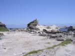 仁右衛門島の写真のサムネイル写真5
