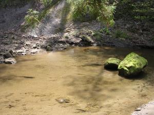 清和県民の森の写真3