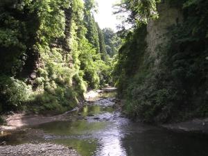 養老渓谷の写真7