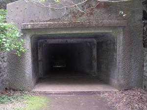 大房岬自然公園の写真9