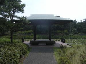 富津公園の写真9