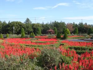 ローズマリー公園の写真