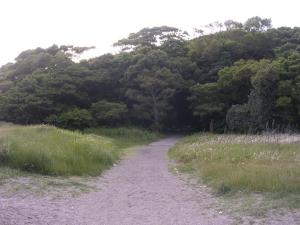 沖ノ島公園の写真12