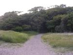 沖ノ島公園の写真のサムネイル写真12