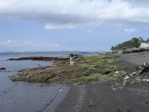 見物海岸の写真3