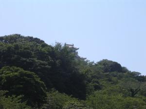 城山公園の写真