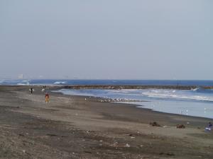 一宮海水浴場の写真