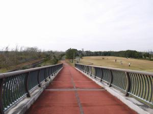 【自転車】蓮沼海浜公園で、自転車！の写真4