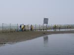 【潮干狩り】ふなばし三番瀬海浜公園で潮干狩り！の写真のサムネイル写真17