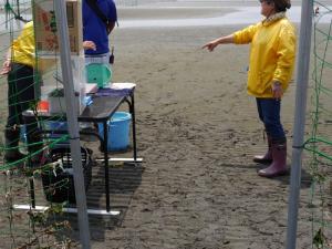 【潮干狩り】ふなばし三番瀬海浜公園で潮干狩り！の写真22