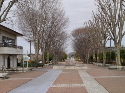 つつじが岡公園の写真2