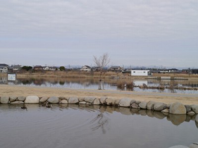 つつじが岡公園の写真6