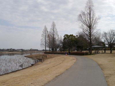 つつじが岡公園の写真15